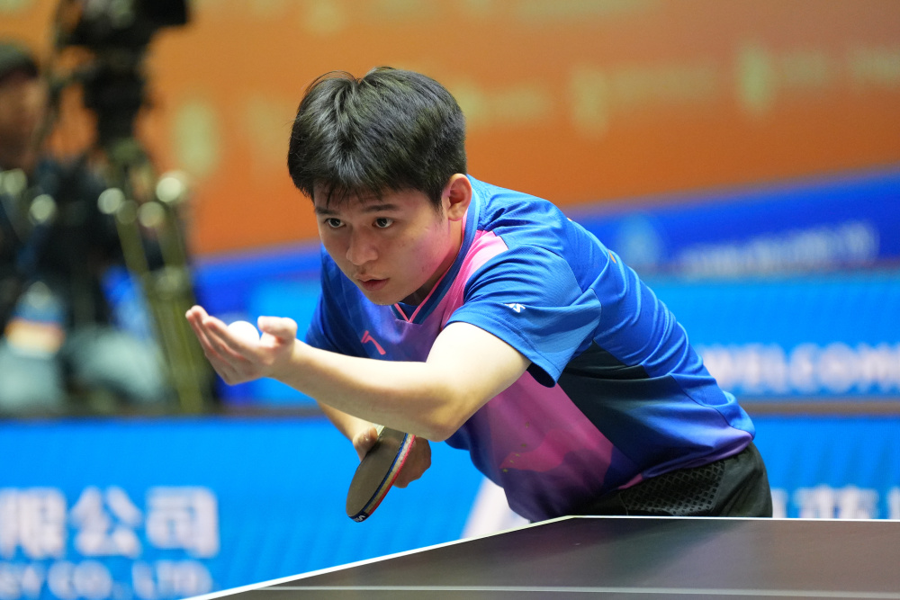 实际的贡献 实际的贡献