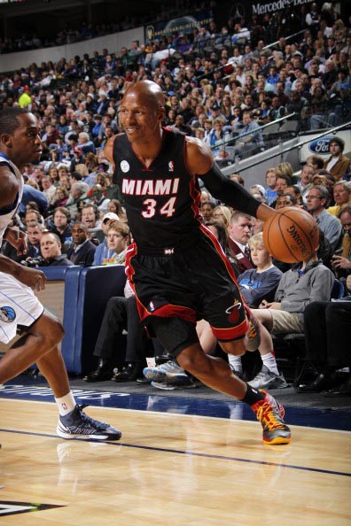 不仅可以提 不仅可以提